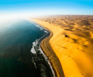 Africa Cruises