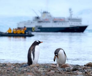 Antarctic Cruises