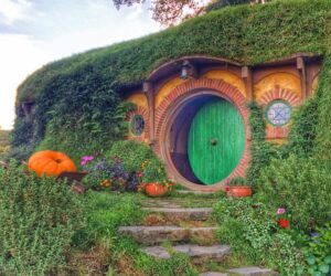 Hobbiton Movie Set_New Zealand