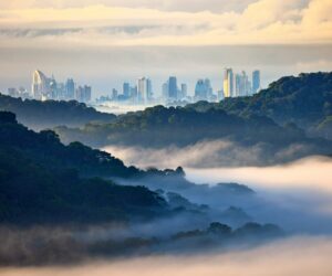 Panama Canal Cruises