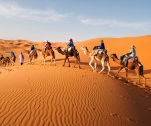 Sahara Desert_Morocco