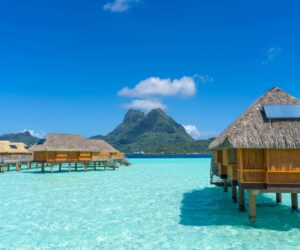 South Pacific Cruises