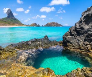 Viator- Fernando de Noronha
