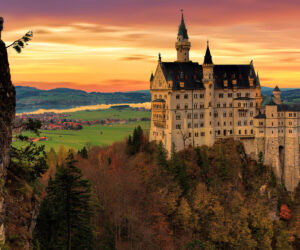 Viator - Neuschwanstein Castle